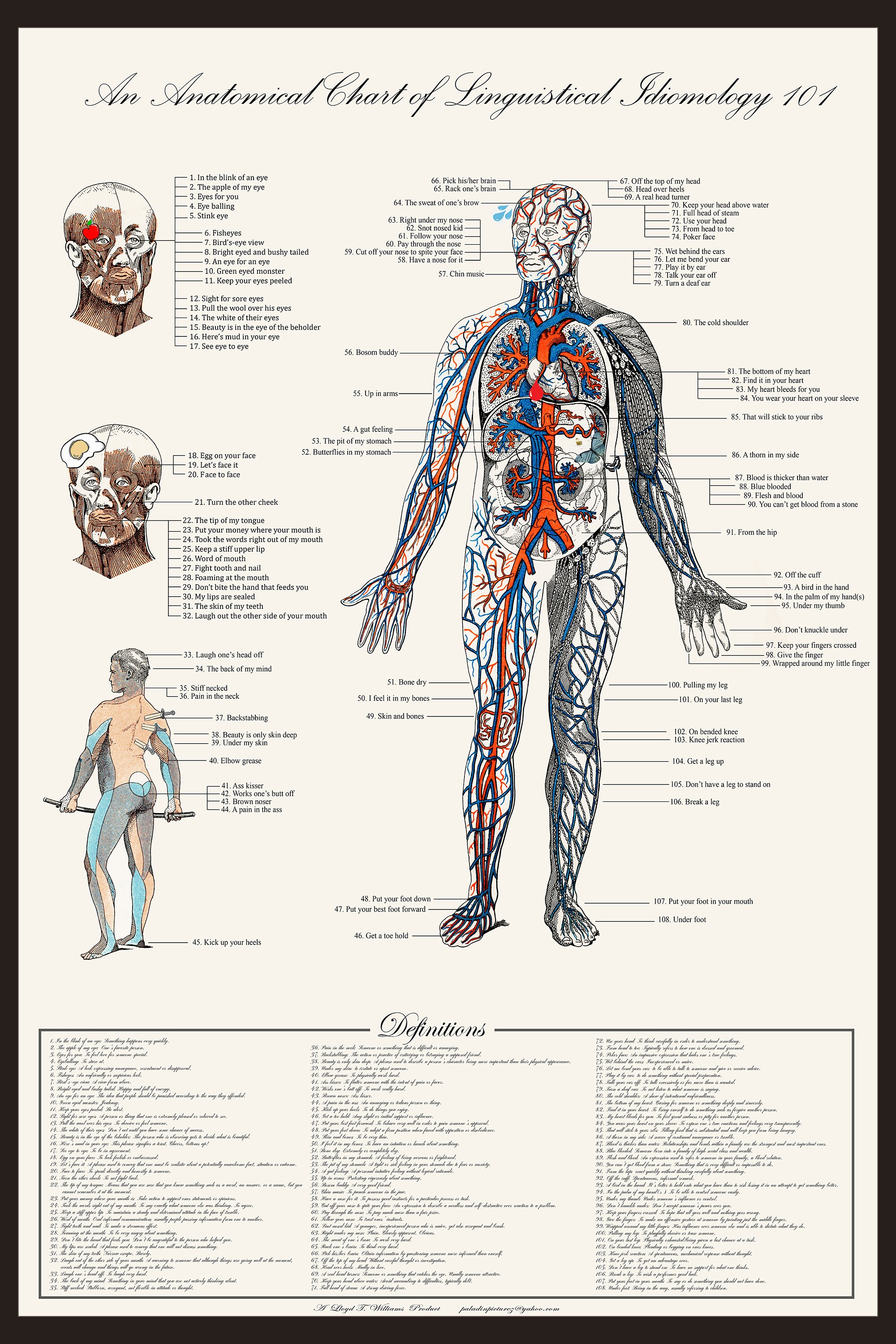 An Anatomical Chart of Linguistical Idiomology | Etsy