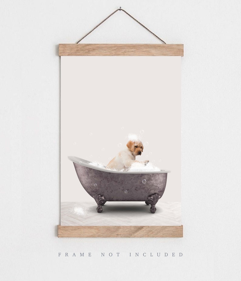 Peut inclure: Un chien blanc assis dans une baignoire vintage violette remplie de bulles. Le chien regarde les bulles. La baignoire a quatre pieds et se trouve sur un sol carrel&eacute; blanc et gris.