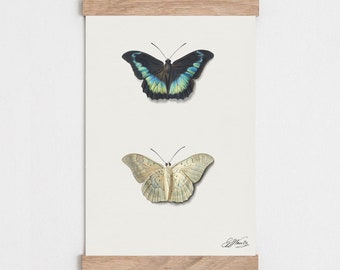 Vintage Butterfly print, Types of Butterfly print, Vintage nature poster, Natural history print, Living room wall art, Vintage illustration