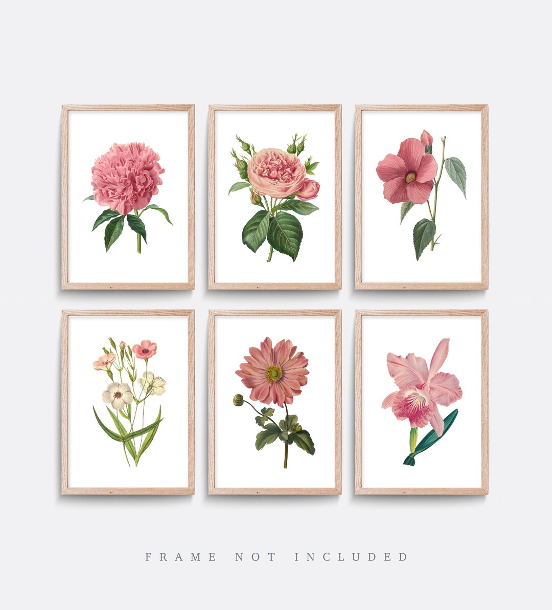 Rosa Blume Drucke, Vintage Blumen Poster, Botanische Kunst, Natur