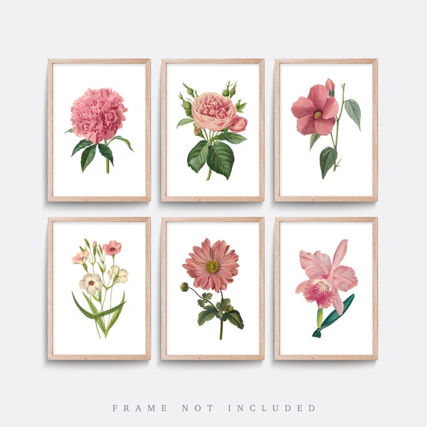 Pink flower Prints, Vintage flower posters, Botanical art, Natural history print, Living room wall art, Vintage illustration, flower art