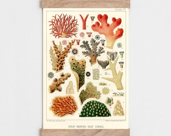 impression de corail vintage, barrière de corail, art de l'histoire naturelle