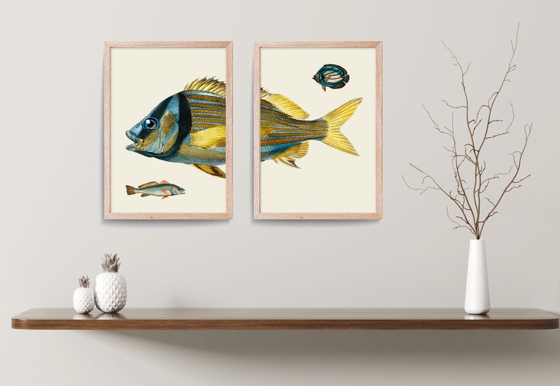 Vintage Fish Print Set, Natural History Illustration, Living Room Art image 3