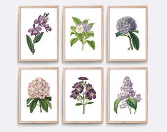 Stampe floreali viola, poster di fiori vintage, arte botanica, stampa di storia naturale, arte della parete del soggiorno, illustrazione vintage, arte floreale