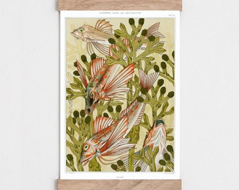 Art Nouveau Print, Vintage nature poster, Fish print, Natural history print, Living room wall art, Vintage illustration, Red Mullet art