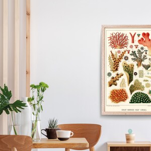 K&ouml;nnte beinhalten: Eine Vintage-Illustration verschiedener Korallenarten aus dem Great Barrier Reef. Die Illustration zeigt eine Vielzahl von Farben, darunter Rot, Orange, Gelb, Gr&uuml;n und Braun. Die Korallen sind in einem realistischen Stil dargestellt, mit filigranen Details.