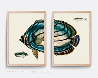 Vintage fish print, Vintage nature poster, Set of 2 Prints, Natural history print, Living room art, Vintage illustration, Fish art, Red art