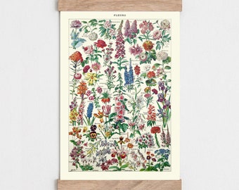 Könnte beinhalten: Eine Vintage-botanische Illustration verschiedener Blumen mit ihren französischen Namen auf cremefarbenem Hintergrund. Das Bild trägt den Titel "FLEURS" und ist in einen Holzrahmen gefasst.