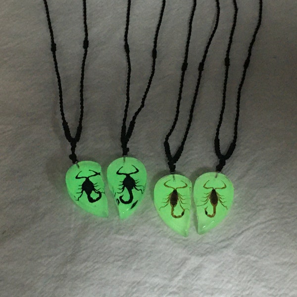 Glows In the Dark Scorpion Resin Heart  Bug Necklace for Couple, friends, or Family