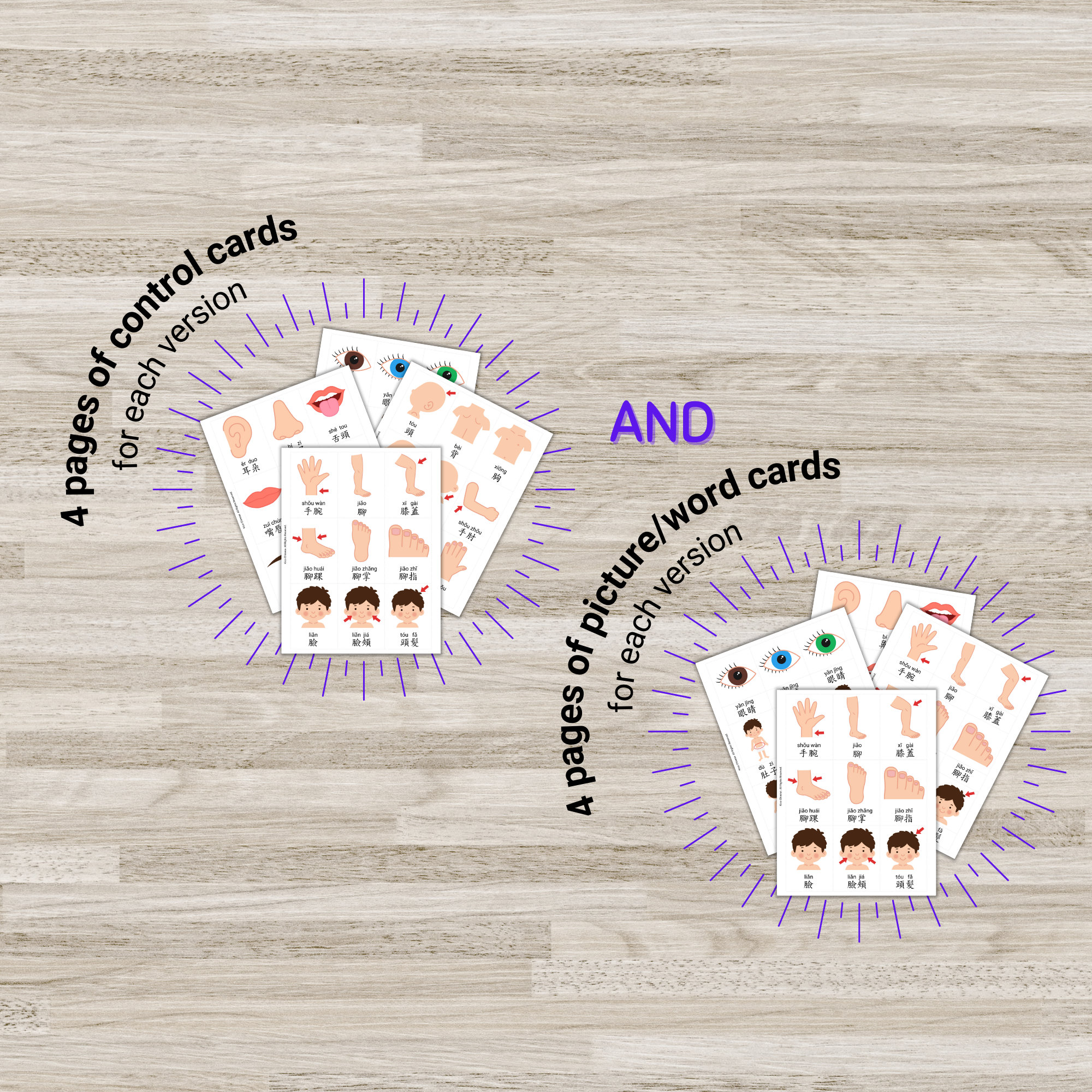 Body Parts Chinese Flashcards, Bopomofo Pinyin Chinese Flash Cards, 3 ...
