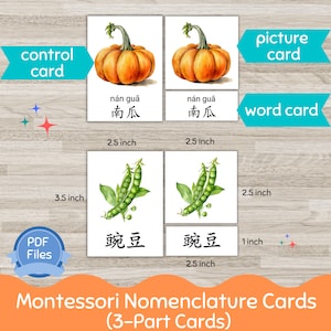 Vegetable Chinese Flashcards, Pinyin Chinese Flash Cards, 3-Part Chinese Flashcards Printable, Chinese characters flash card, Kids Chinese image 2