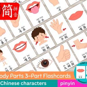 Body Parts Chinese Flashcards, Pinyin Chinese Flash Cards, 3-Parts Chinese Flashcards Printable, Kids Chinese, Montesorri Resources