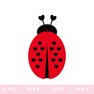 Ladybug SVG - Lady Bug SVG - Love Bug SVG - LadyBug svg bestanden - LadyBug svg Cricut - svg png dxf - cricut - silhouet - Ladybug clipart