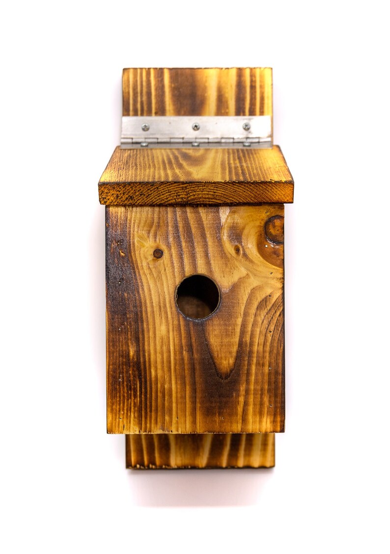 Bluebird House color Selection Etsy