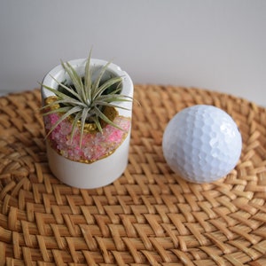 Könnte beinhalten: Ein weißer, ovaler Pflanztopf mit gold-rosa verziertem Rand, der eine kleine Luftpflanze enthält. Rechts liegt ein weißer Golfball. Die Artikel befinden sich auf einer gewebten, runden Matte.