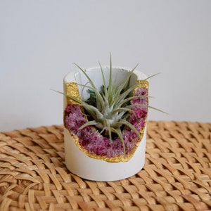 May include: A white, cylindrical planter with a gold-painted rim and a section filled with pink crystals. The planter holds a small air plant with green, spiky leaves. The planter is sitting on a woven, tan surface.