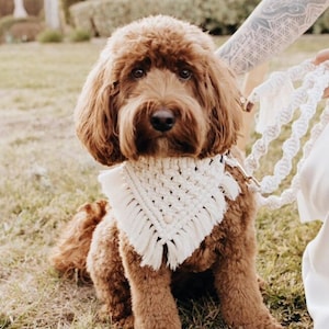Macrame dog bandana | Boho pet bandana | Macrame dog collar | Dog gift | Wedding dog bandana | Dog wedding accessories | Bridal puppy gift