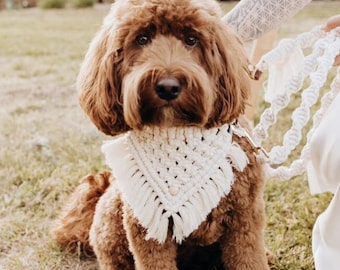 Macrame dog bandana | Boho pet bandana | Macrame dog collar | Dog gift | Wedding dog bandana | Dog wedding accessories | Bridal puppy gift