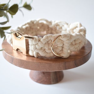May include: A white cotton rope dog collar with a gold metal buckle and D-ring.