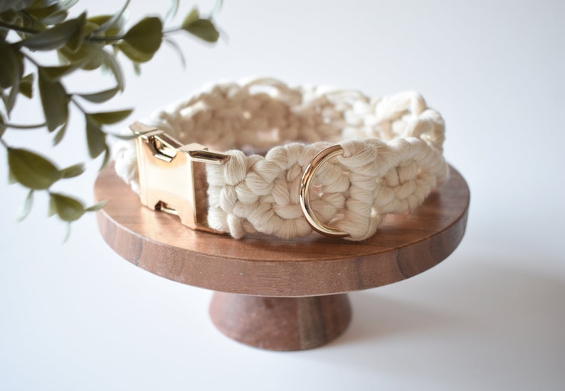 May include: A white cotton rope dog collar with a gold metal buckle and D-ring.