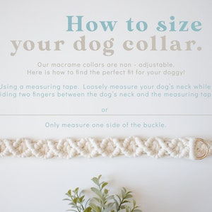 May include: How to size your dog collar. Our macrame collars are non-adjustable. Here is how to find the perfect fit for your doggy! Using a measuring tape. Loosely measure your dog's neck while sliding two fingers between the dog's neck and the measuring tape. Or, only measure one side of the buckle. A white macrame dog collar with a gold buckle.