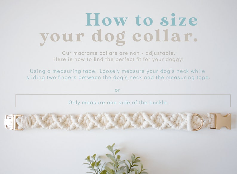 May include: How to size your dog collar. Our macrame collars are non-adjustable. Here is how to find the perfect fit for your doggy! Using a measuring tape. Loosely measure your dog's neck while sliding two fingers between the dog's neck and the measuring tape. Or, only measure one side of the buckle. A white macrame dog collar with a gold buckle.