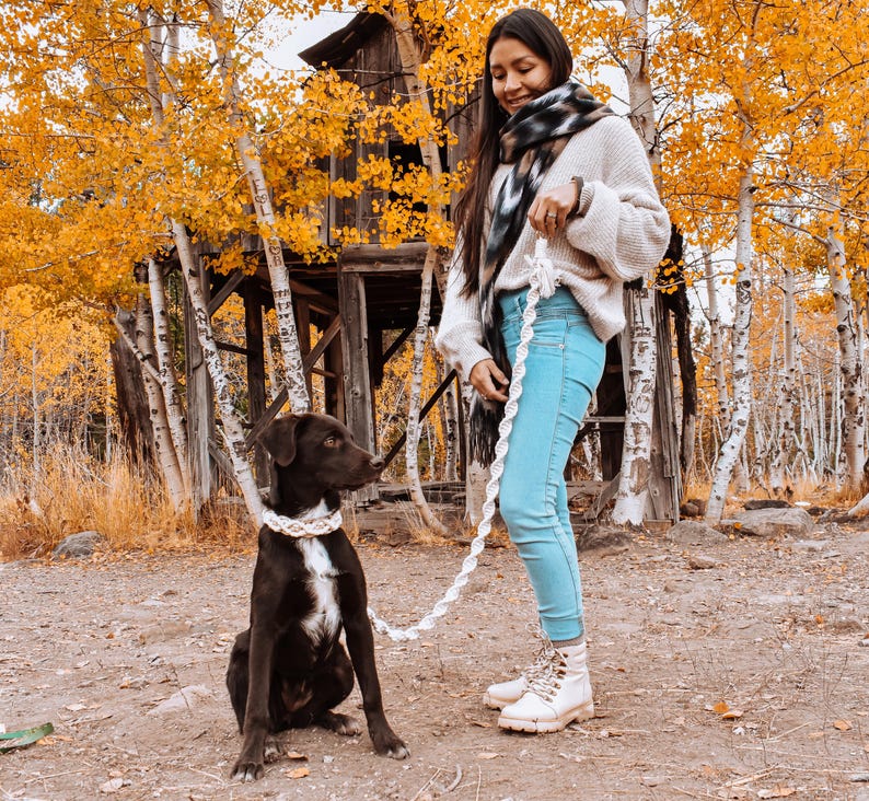 May include: A woman in a white sweater and a black and white scarf walks a brown and white dog on a white rope leash in a forest setting. The trees are bare and the leaves are yellow and orange.