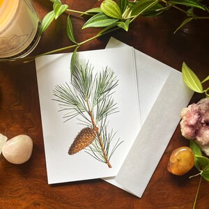 de voeux de pomme de pin | Carte Pour Les Fêtes | Carte-cadeau Camping | Cadeau pour lui | Carte pour les papas | Cadeaux fête des pères | Anniversaire | Cadeau nature