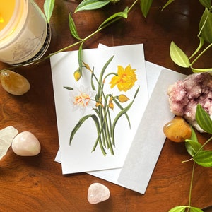 de voeux de jonquilles | Cartes de voeux de printemps | Fleurs jaunes | Fleurs de printemps | Carte de Pâques | Carte de voeux gaie |