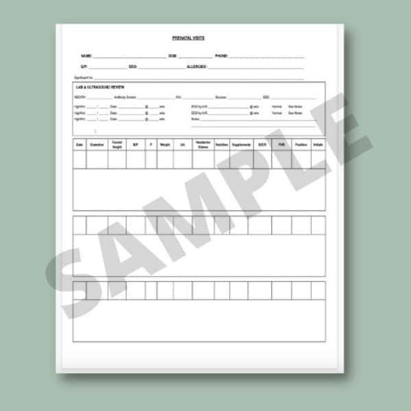 Prenatal Records, Patient Chart