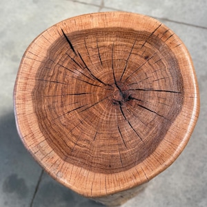 May include: A handcrafted wooden stool with a natural, organic design. The top surface showcases the tree's growth rings, radiating outwards from the center. The wood has a warm, brown hue with darker cracks and variations, adding character to the piece.
