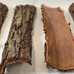 Smoak Firewood's Hardwood Tree Bark for art, crafts, fairy gardens, terraruims, isopods, herbs, tea/syrup making or rustic wedding supplies