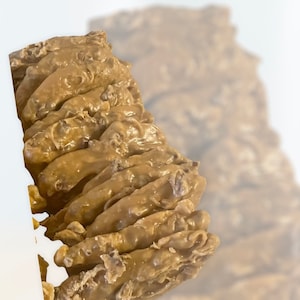 New Orleans Pralines