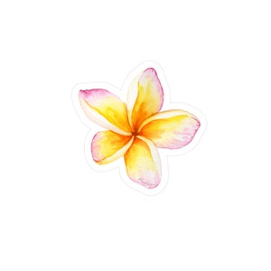 Peut inclure: Une peinture à l'aquarelle d'une fleur de frangipanier jaune et rose.
