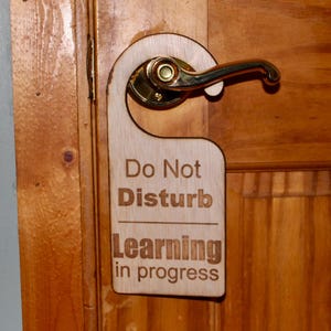 May include: A wooden door hanger with the text "Do Not Disturb Learning in progress".
