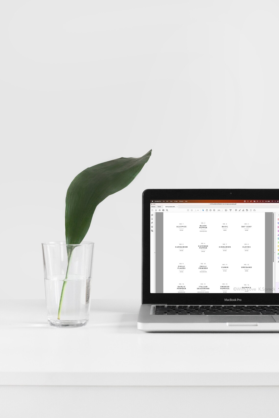 Editable Printable Spice Jar Labels Modern Minimalist Spice Etsy Canada