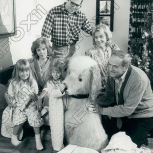 May include: A black and white photo of a family gathered around a large, furry, stuffed animal. The family is smiling and appears to be enjoying each other's company. The stuffed animal is a dog, and it is sitting on the floor in front of the family.