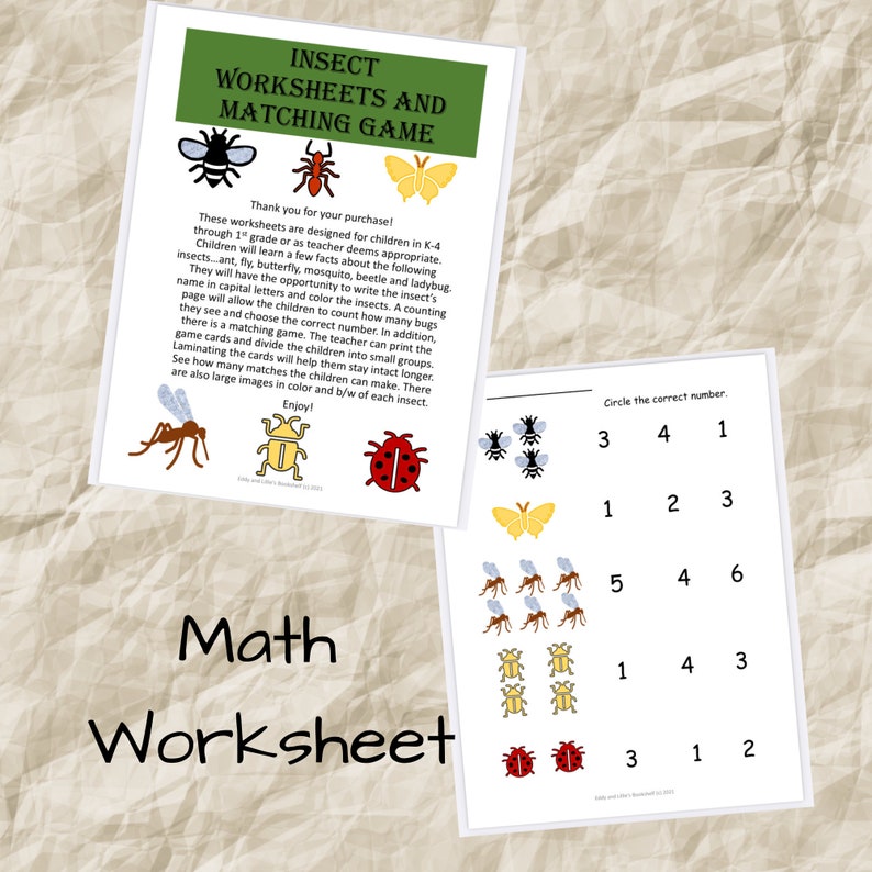 Insects - Science Worksheets for Kids: Color Pages, Counting, Room ...