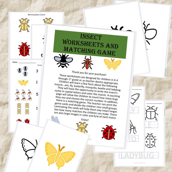 insects science worksheets for kids color pages counting etsy