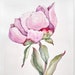 see more listings in the Florales Aquarell section