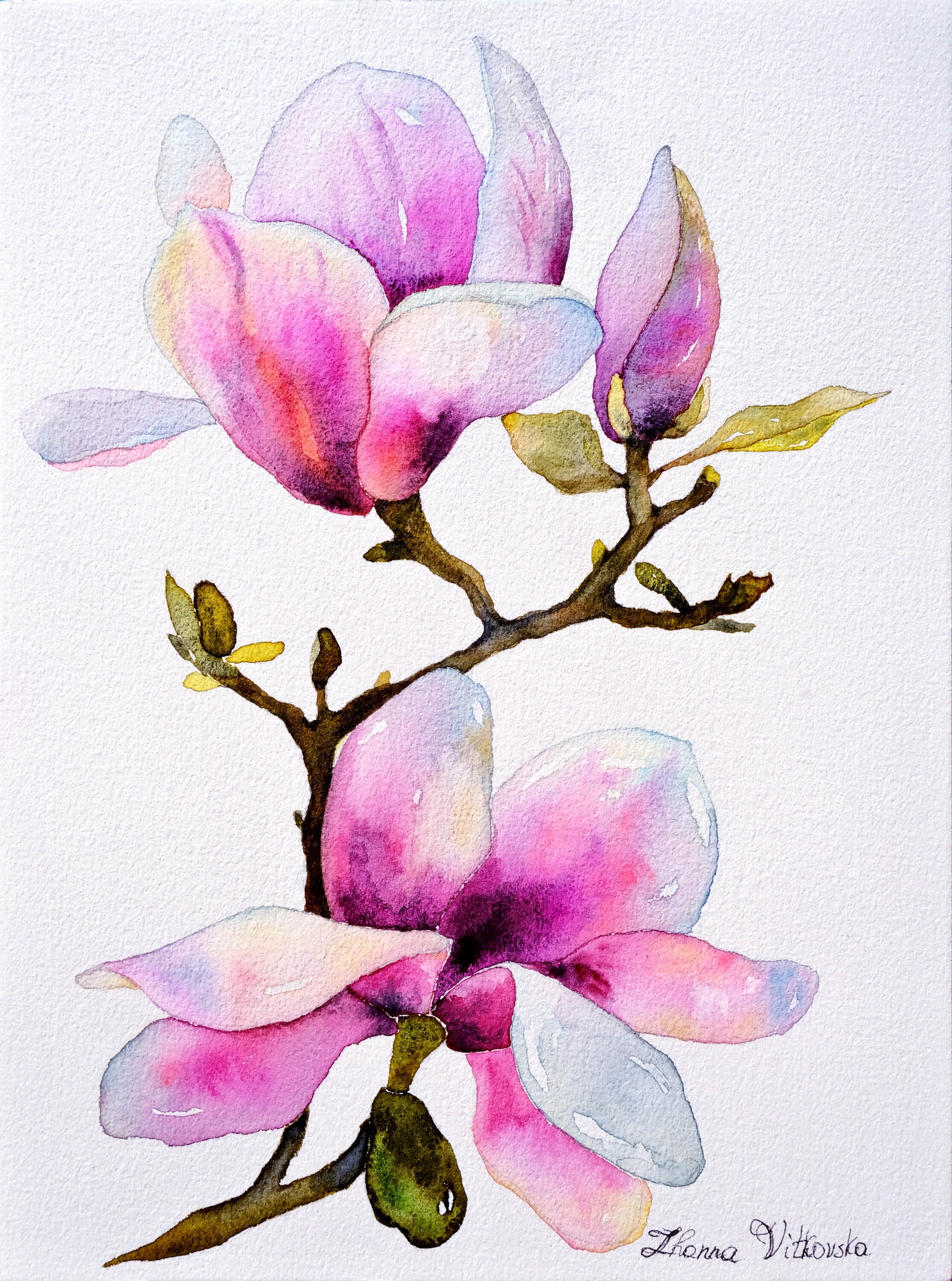 Magnolia Artwork Original Art Watercolor Flower Painting Pink Magnolia ...