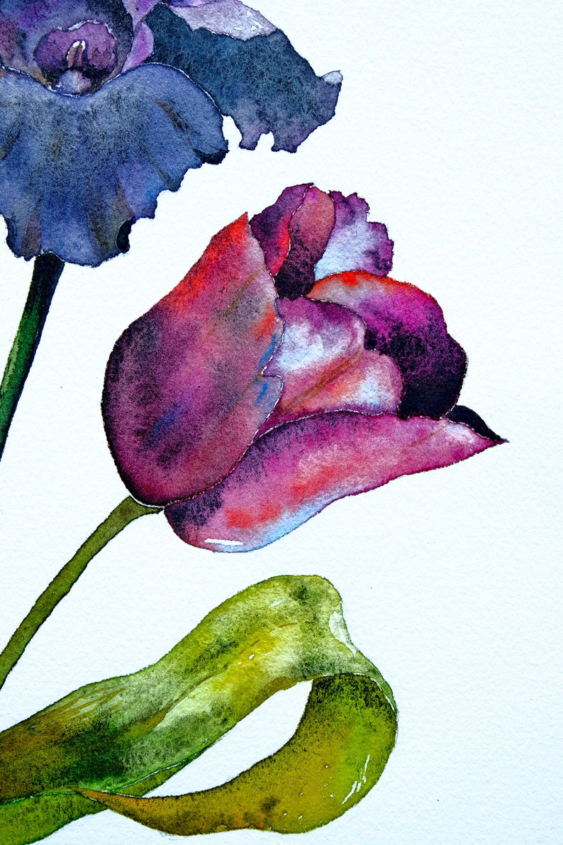Iris Painting Original Art Tulip Artwork Morning Glory Etsy