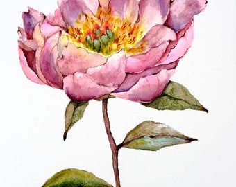 Peony Painting Original Art Peony Watercolor Artwork Flower Botanical Illustration Watercolor 9" by 12" by Zhanna Vitkovska