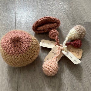 Op de afbeelding: Gestoffeerd anatomisch model van het vrouwelijke voortplantingssysteem met een roze baarmoeder, eileiders, eierstokken en een baarmoederhals. Het model wordt geleverd met houten labels met de woorden "Dag 1", "Dag 2", "Wat voel je", "Ei", "Kers", "1 uur", "1 uur" en "1 uur".