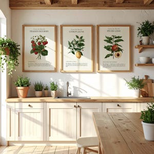 Op de afbeelding: Drie ingelijste botanische prenten met aardbeien, een citroentak en een perziktak. De prenten hebben een vintage stijl met Franse tekst. De frames zijn lichtbruin en de achtergrond is lichtcrème. De prenten worden boven een aanrecht getoond.