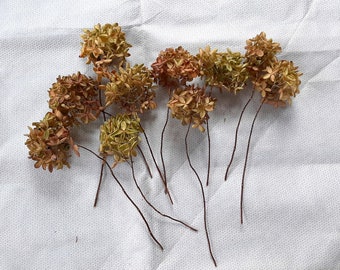 10 Air Dried Hydrangea Pee Gee Flower Stems