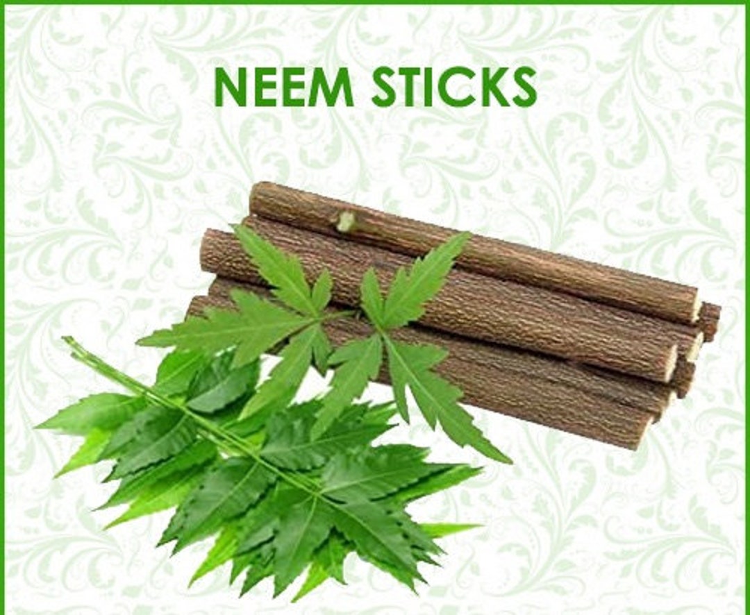 Neem Sticks / Neem Datun / Neem Twig Tooth Brush neem Datun Etsy