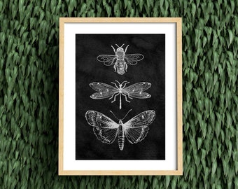 Mystic Aesthetic Botanical Bee Drawing Chalk Art, Femme Boho Witch Cottagecore, Vintage Apothecary Magic Minimal Printable, Digital Download