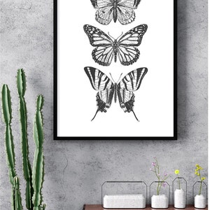 May include: Black and white framed print of three butterflies. The butterflies are arranged vertically, with the largest butterfly at the bottom and the smallest butterfly at the top. The butterflies are all in a realistic style.