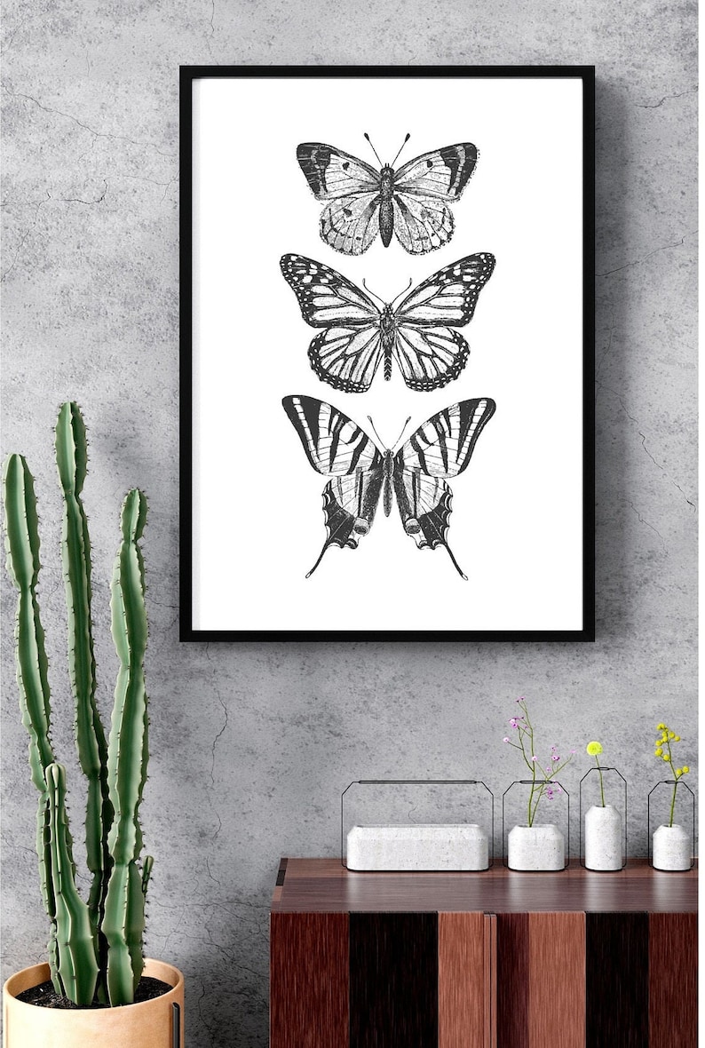 May include: Black and white framed print of three butterflies. The butterflies are arranged vertically, with the largest butterfly at the bottom and the smallest butterfly at the top. The butterflies are all in a realistic style.